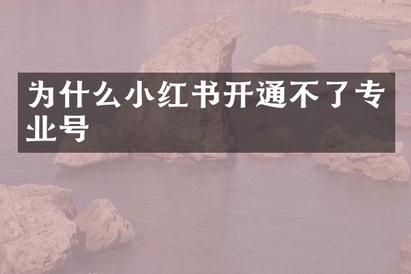 为什么小红书开通不了专业号