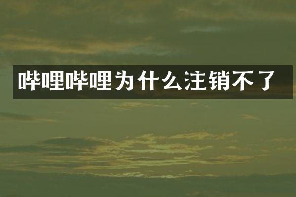 哔哩哔哩为什么注销不了