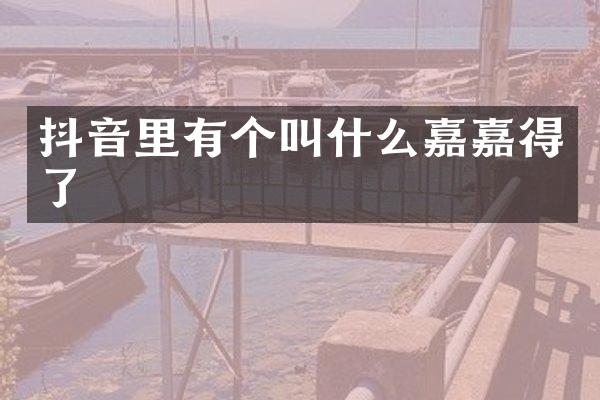 抖音里有个叫什么嘉嘉得了