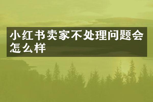 小红书卖家不处理问题会怎么样