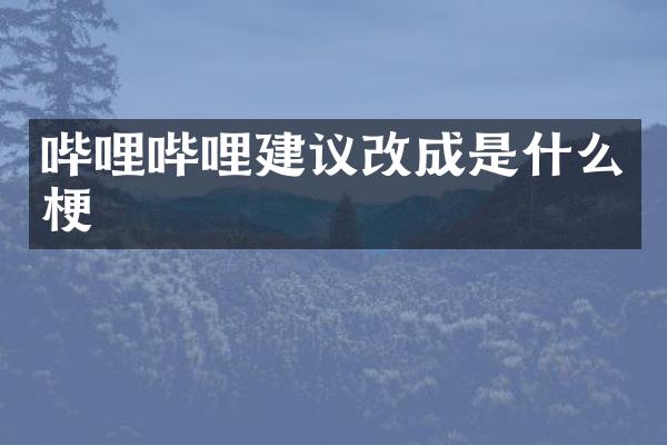 哔哩哔哩建议改成是什么梗