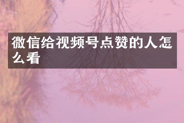 微信给视频号点赞的人怎么看