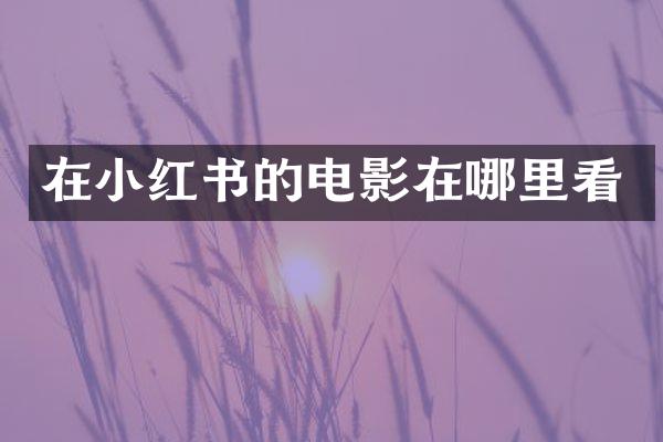 在小红书的电影在哪里看