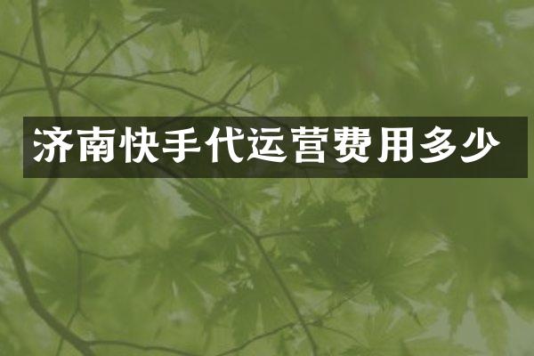 济南快手费用多少
