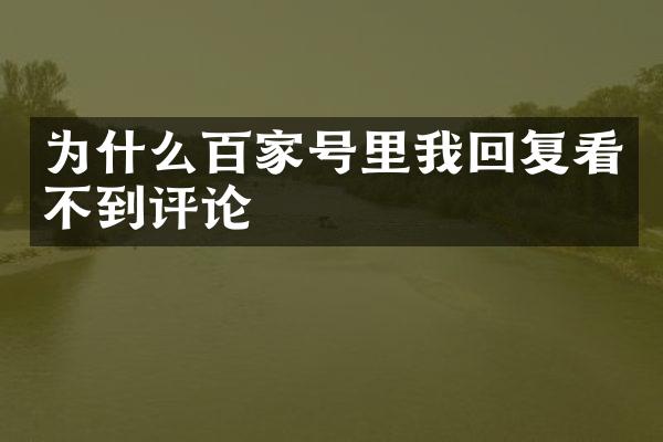 为什么百家号里我回复看不到评论