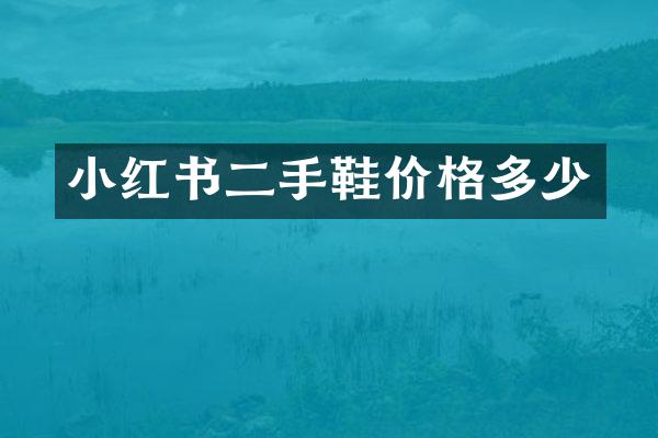 小红书二手鞋价格多少
