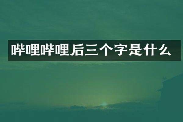 哔哩哔哩后三个字是什么