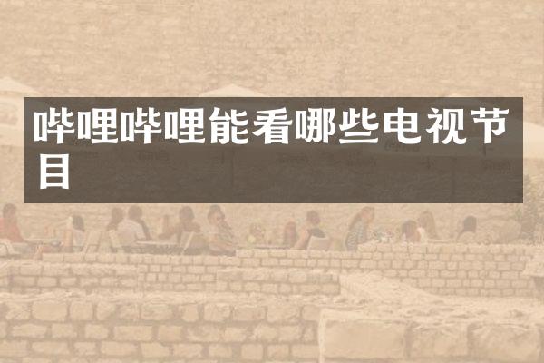 哔哩哔哩能看哪些电视节目