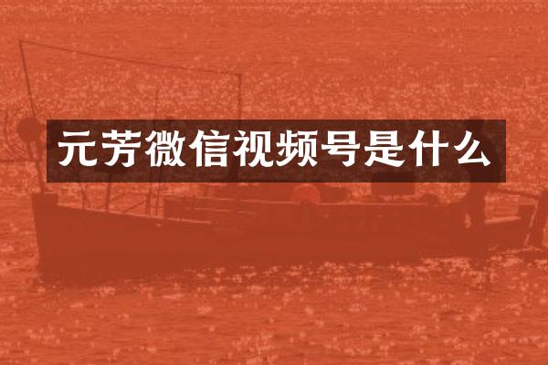 元芳微信视频号是什么