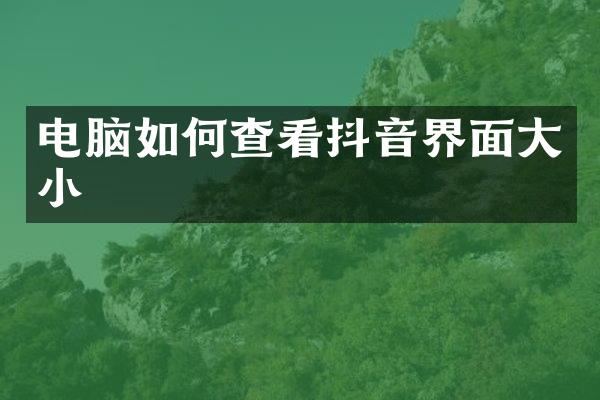 电脑如何查看抖音界面大小
