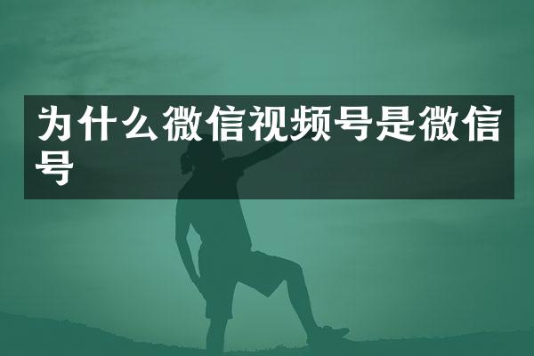 为什么微信视频号是微信号