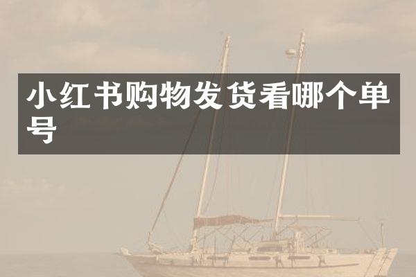 小红书购物发货看哪个单号