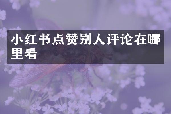 小红书点赞别人评论在哪里看