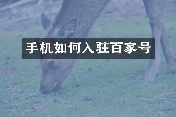 手机如何入驻百家号