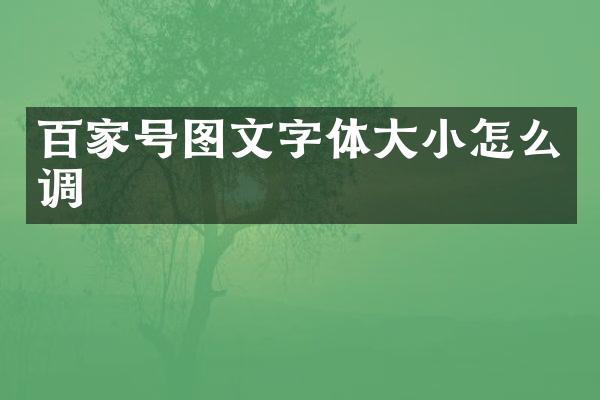 百家号图文字体大小怎么调