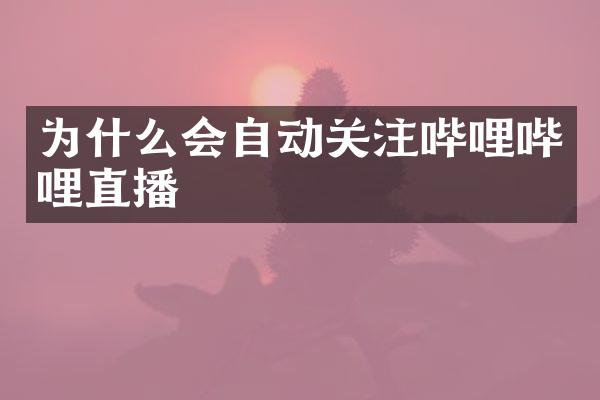 为什么会自动关注哔哩哔哩直播