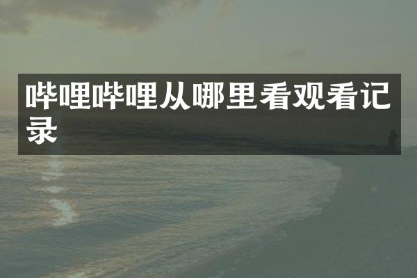 哔哩哔哩从哪里看观看记录