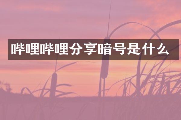 哔哩哔哩分享暗号是什么