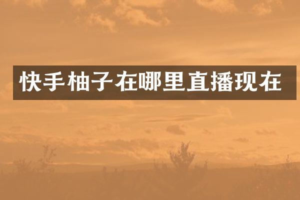 快手柚子在哪里直播现在