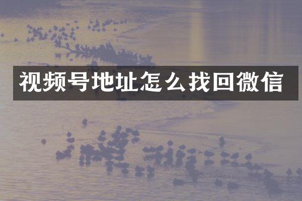 视频号地址怎么找回微信