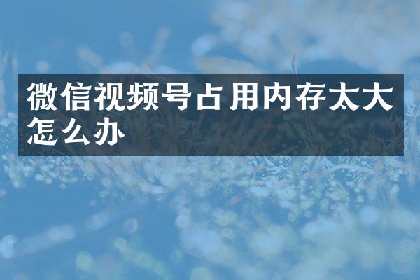 微信视频号占用内存太大怎么办