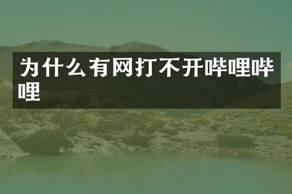 为什么有网打不开哔哩哔哩