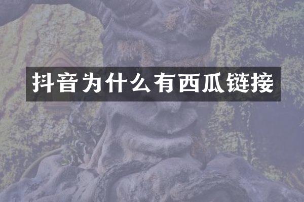 抖音为什么有西瓜链接