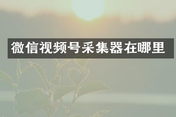 微信视频号采集器在哪里