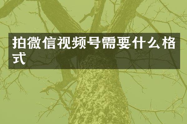 拍微信视频号需要什么格式
