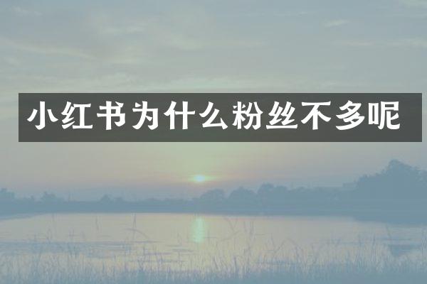 小红书为什么粉丝不多呢