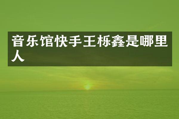 音乐馆快手王栎鑫是哪里人