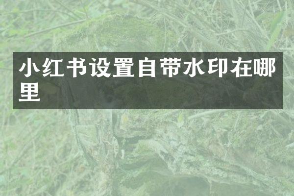 小红书设置自带水印在哪里