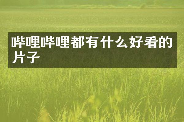 哔哩哔哩都有什么好看的片子