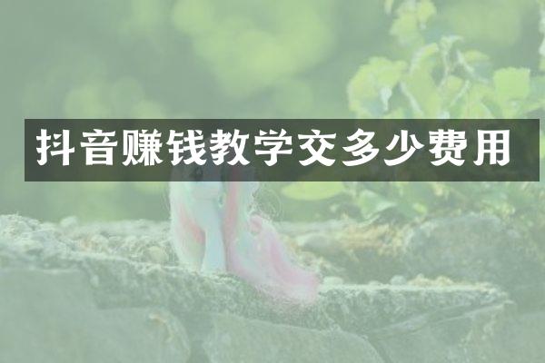 抖音赚钱教学交多少费用