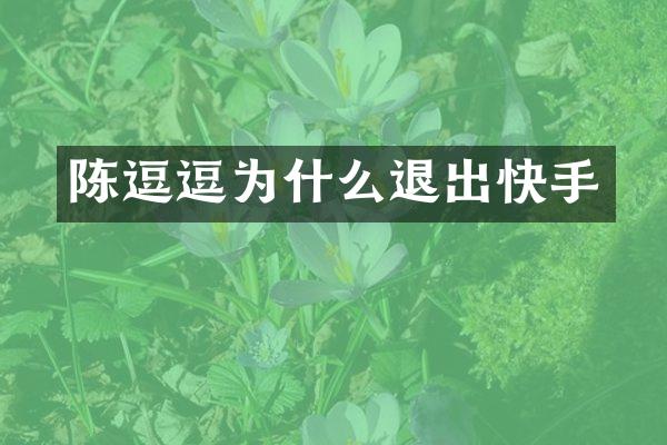 陈逗逗为什么退出快手