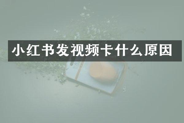 小红书发视频卡什么原因