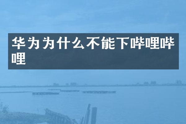 华为为什么不能下哔哩哔哩