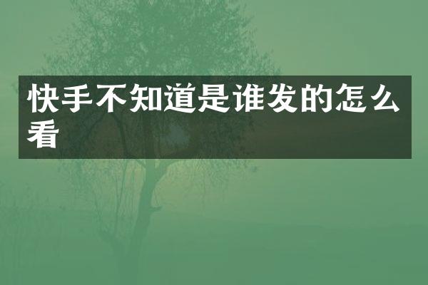 快手不知道是谁发的怎么看