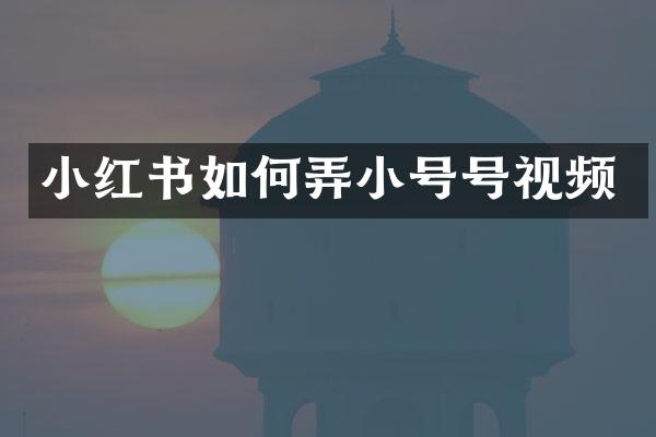 小红书如何弄小号号视频