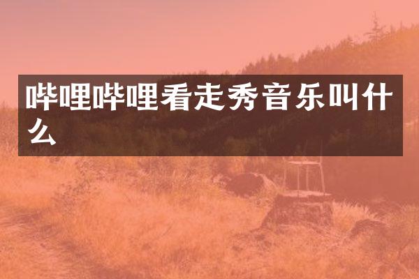 哔哩哔哩看走秀音乐叫什么