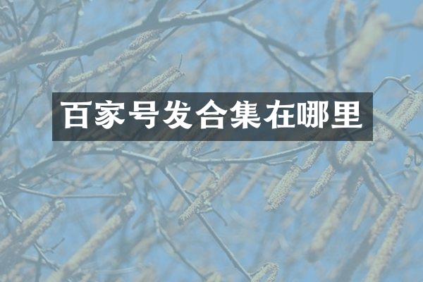 百家号发在哪里