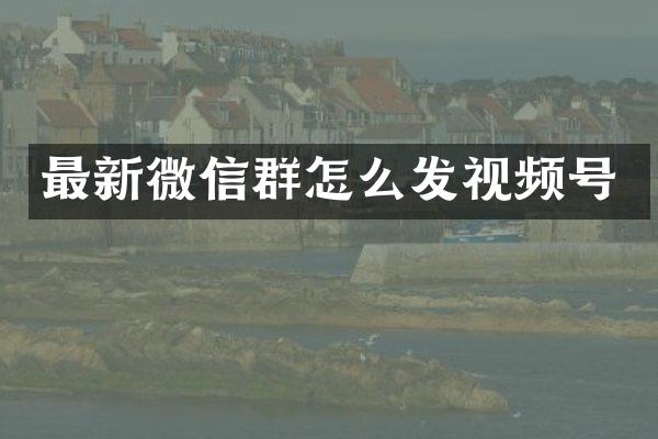 最新微信群怎么发视频号