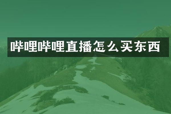 哔哩哔哩直播怎么买东西