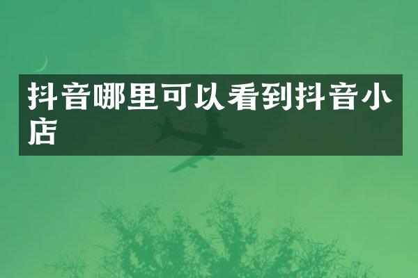 抖音哪里可以看到抖音小店