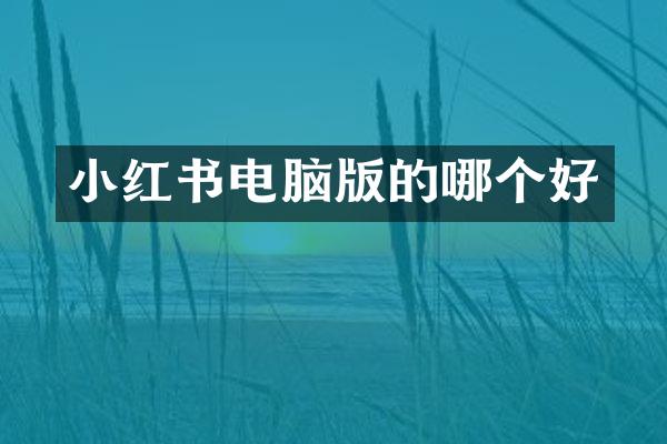 小红书电脑版的哪个好