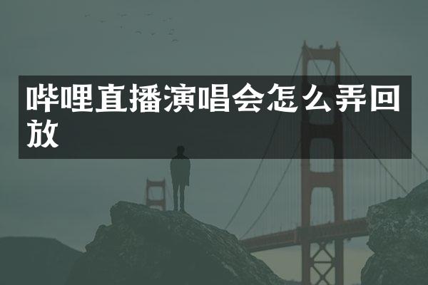哔哩直播演唱会怎么弄回放