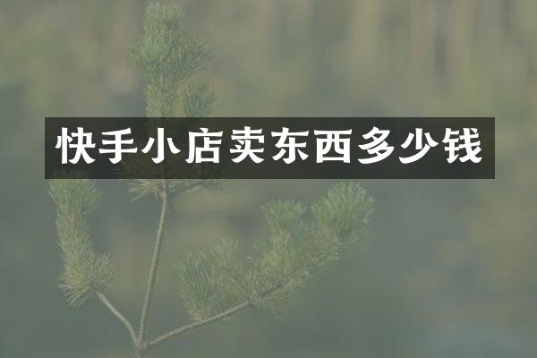 快手小店卖东西多少钱