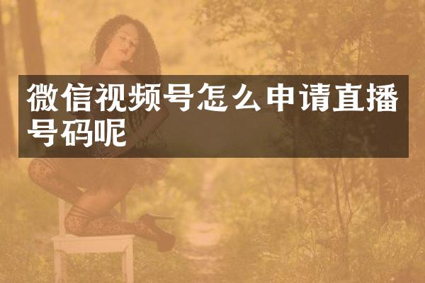 微信视频号怎么申请直播号码呢