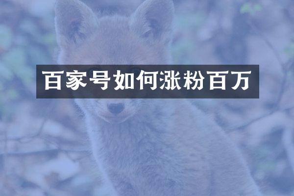 百家号如何涨粉百万