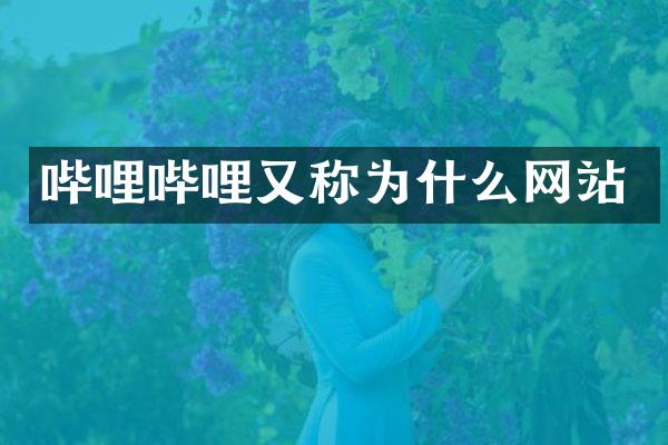 哔哩哔哩又称为什么网站